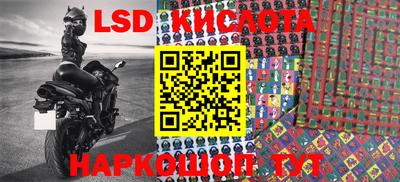 ГАЛЛЮЦИНОГЕННЫЕ ГРИБЫ Новодвинск