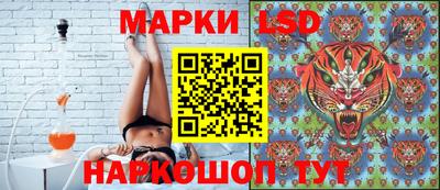 прущие грибы Обнинск