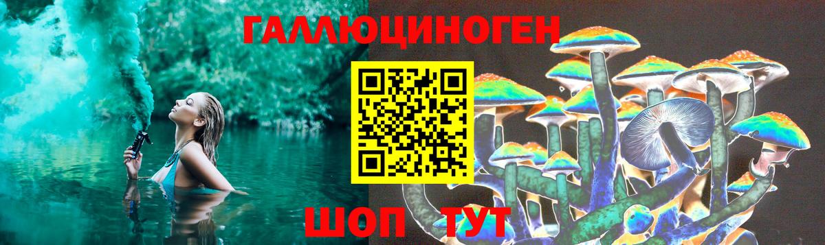 Псилоцибиновые грибы Psilocybe Сланцы