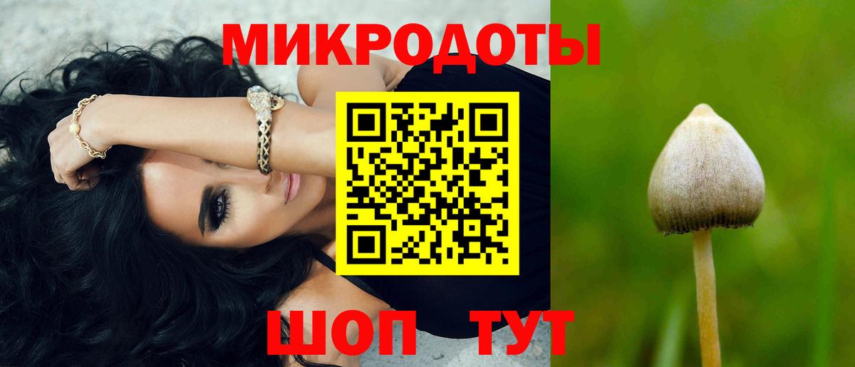 Псилоцибиновые грибы мицелий  Вход с VPN  даркнет сайт  Галлюциногенные грибы ЛСД  Сланцы 